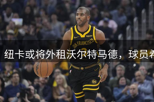 纽卡或将外租沃尔特马德，球员希望留队证明实力