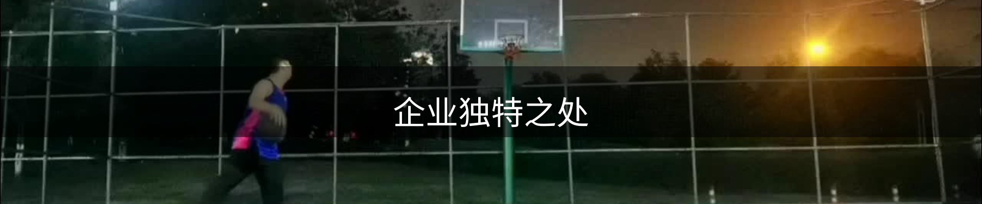 企业独特之处