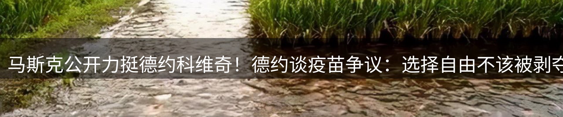 每日盘点